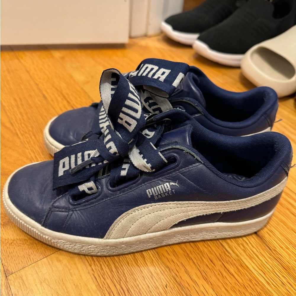 Blue Pumas